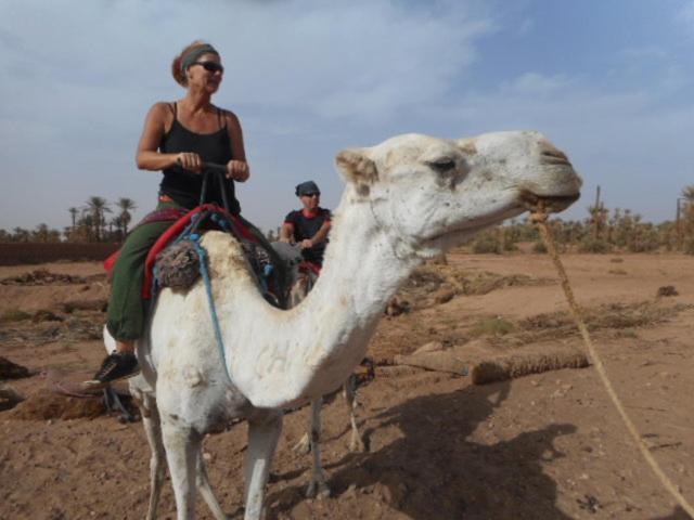 Hotel Carrefour Des Nomades M'Hamid Exterior foto
